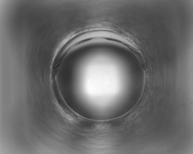 X0000053120248200507251730