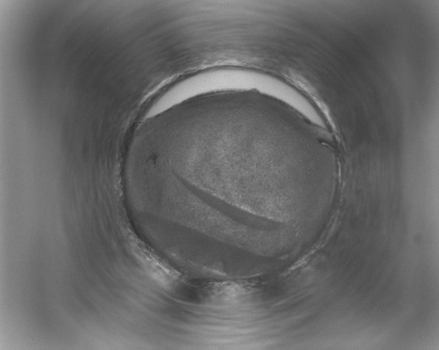 X0000053120249200507251731