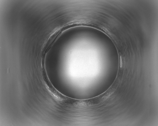 X0000053120253200507251731