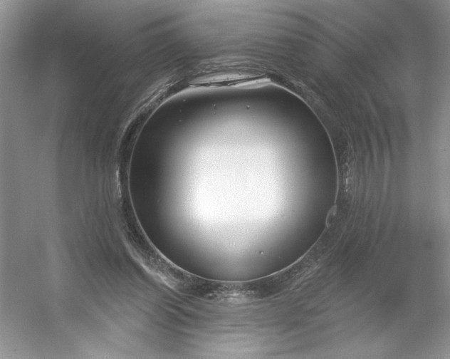 X0000053120254200507251731