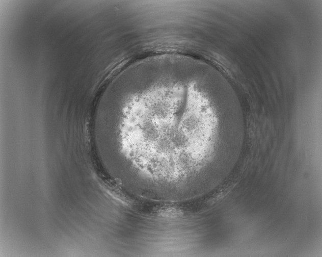 X0000053120258200507251731