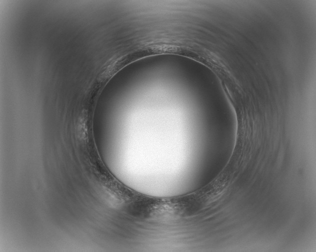 X0000053120259200507251731