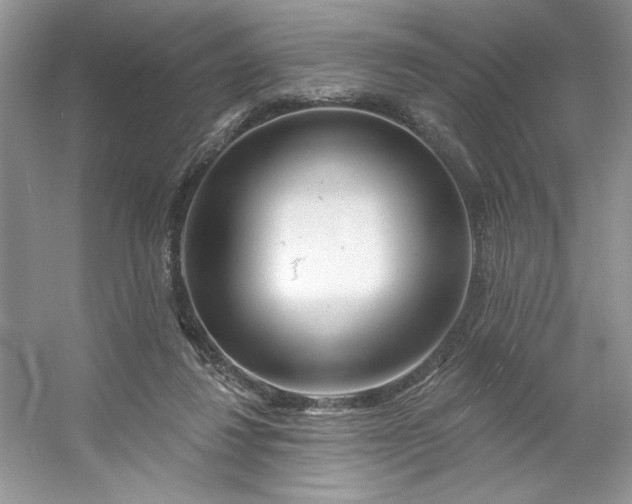 X0000053120260200507251731