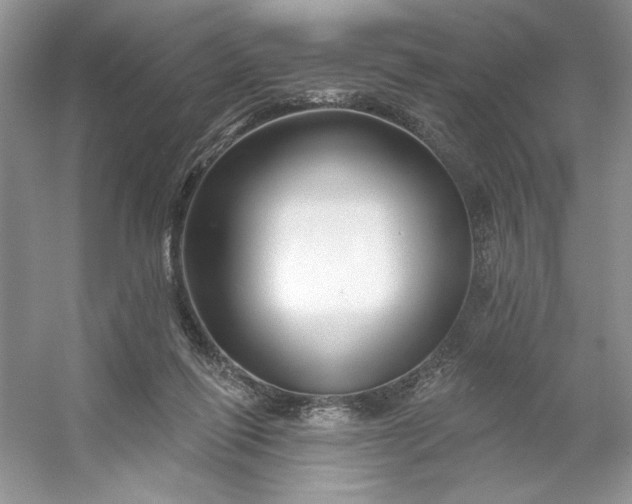 X0000053120262200507251731