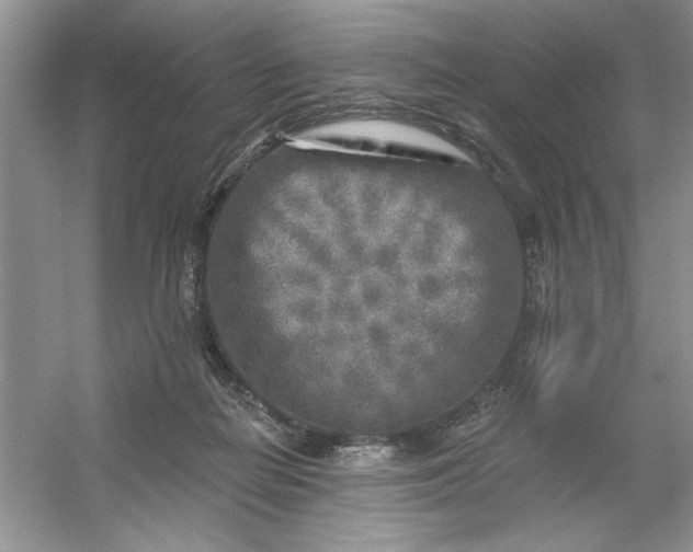 X0000053120266200507251731