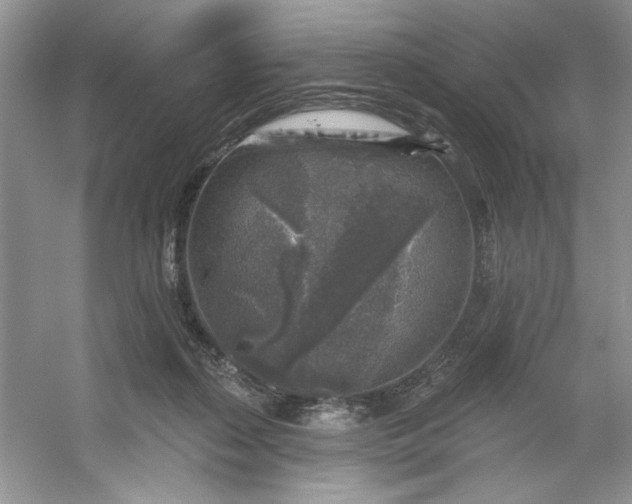 X0000053120267200507251731