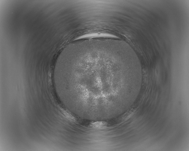 X0000053120269200507251731