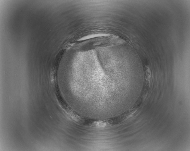 X0000053120272200507251731