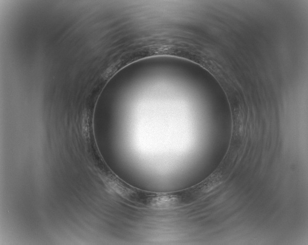 X0000053120274200507251731