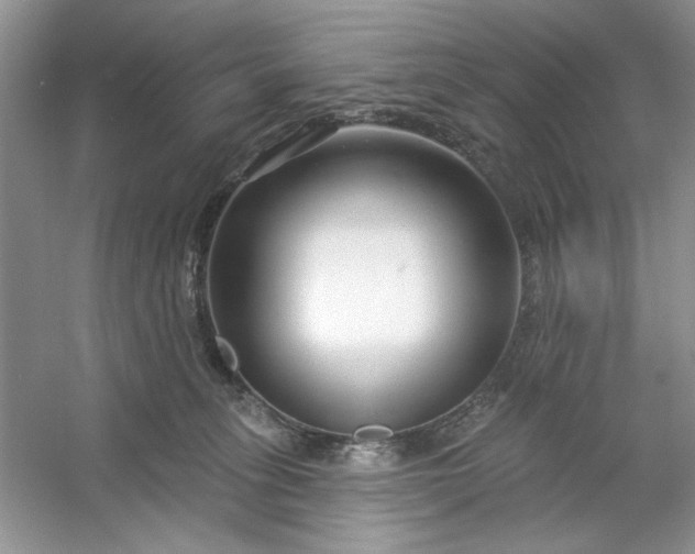 X0000053120275200507251731