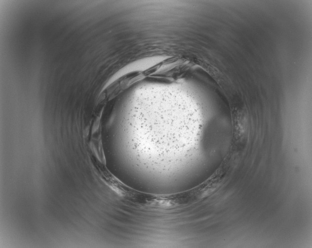 X0000053120276200507251731