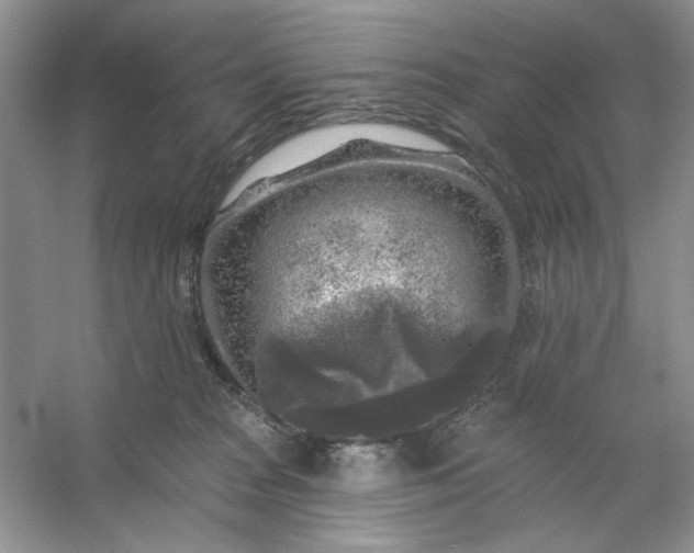 X0000053120277200507251731