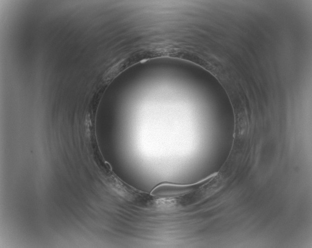 X0000053120279200507251731