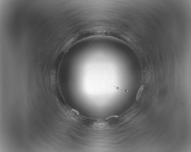 X0000053120283200507251731