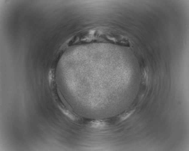 X0000053120284200507251731