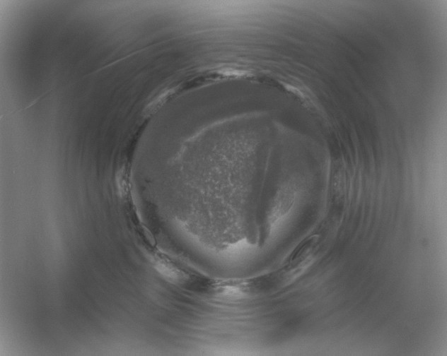 X0000053120285200507251731