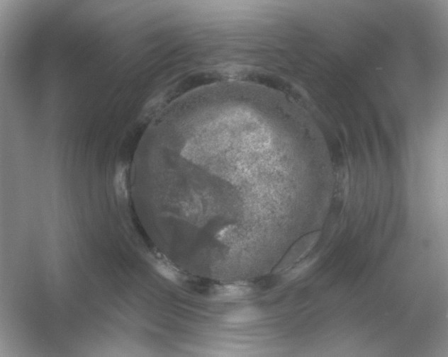 X0000053120286200507251731