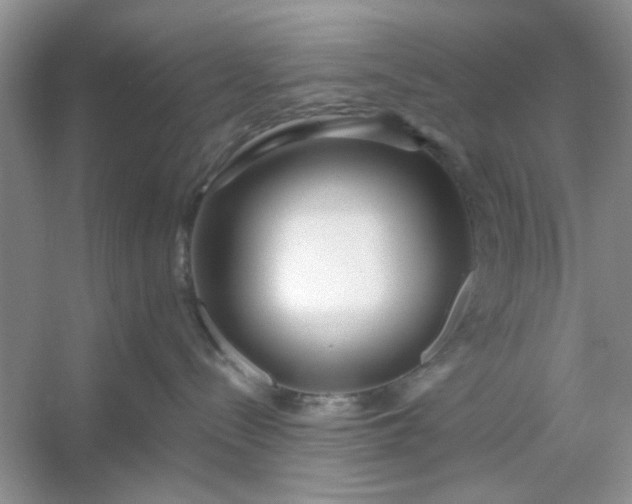 X0000053120288200507251731