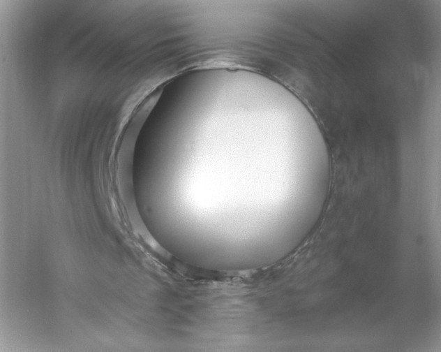 X0000053120289200507251730