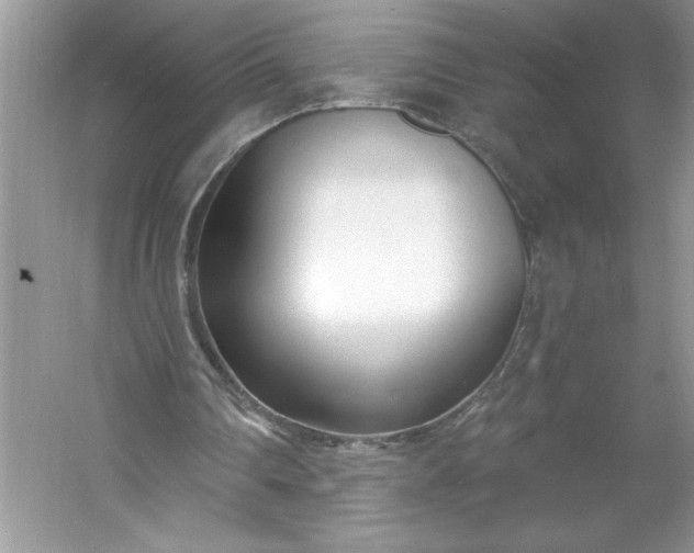 X0000053120290200507251730