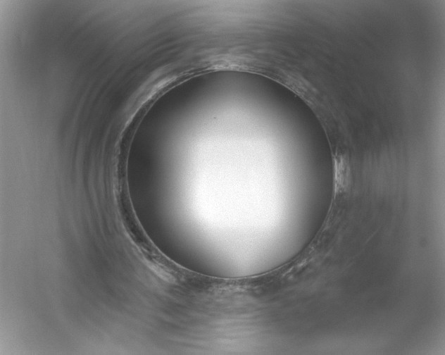 X0000053120291200507251730