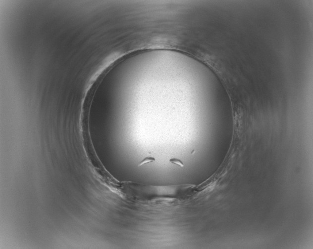 X0000053120292200507251730