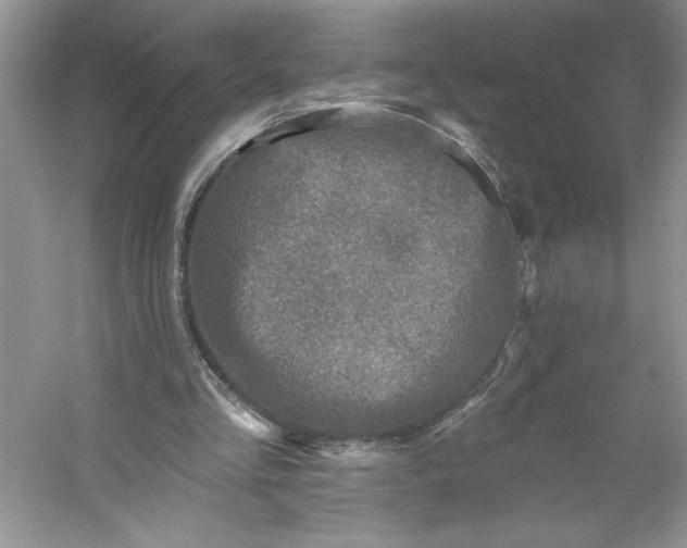 X0000053120293200507251730