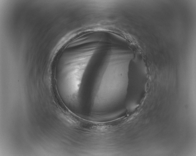 X0000053120295200507251730