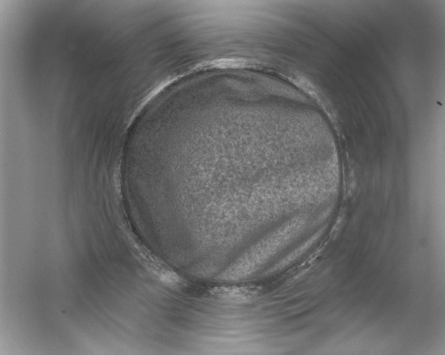 X0000053120297200507251730