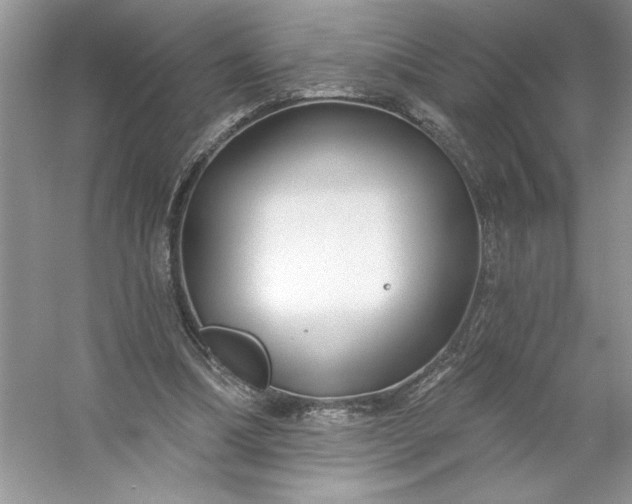 X0000053120298200507251730