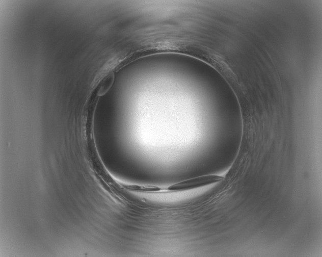 X0000053120299200507251730