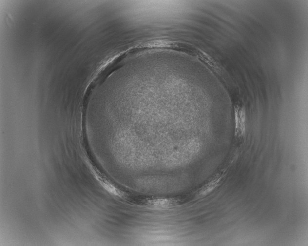 X0000053120301200507251730