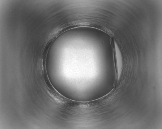 X0000053120302200507251730