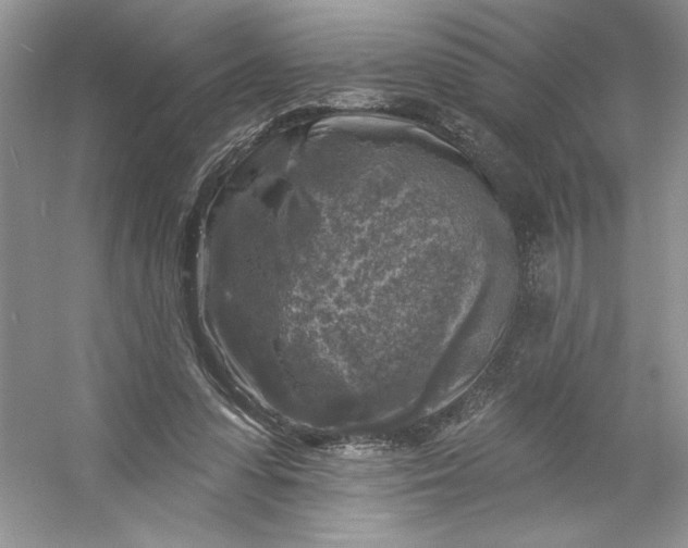 X0000053120303200507251730