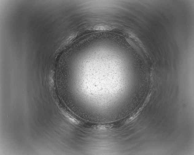 X0000053120305200507251730