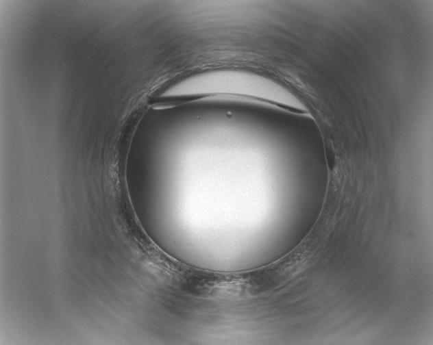 X0000053120306200507251730