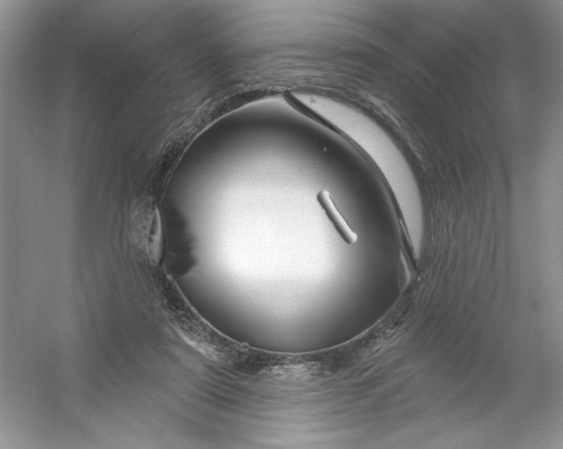 X0000053120307200507251730