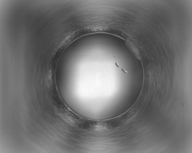 X0000053120308200507251730