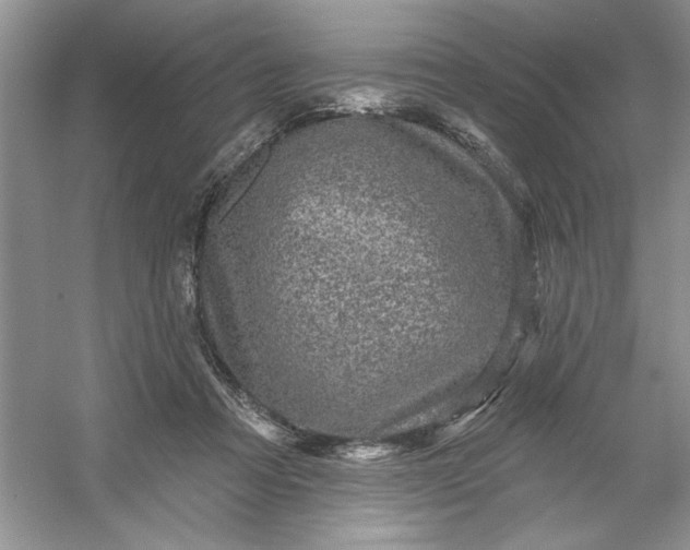 X0000053120313200507251730