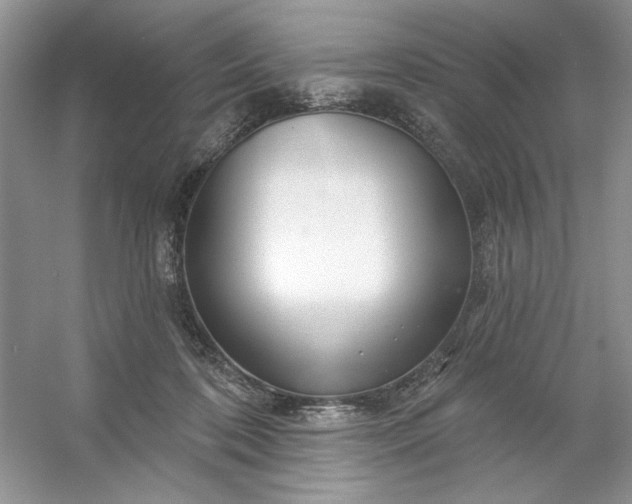 X0000053120316200507251730