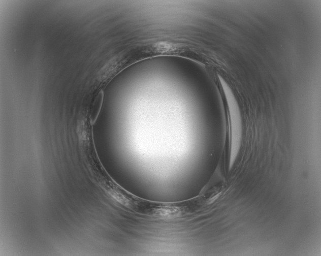 X0000053120317200507251730