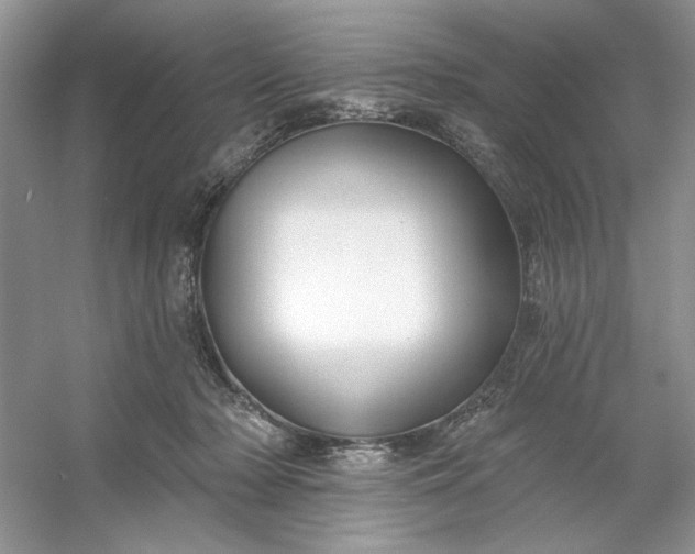 X0000053120318200507251730