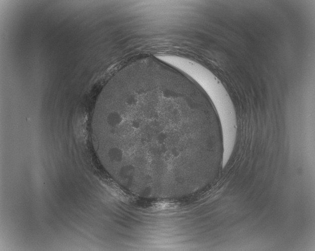 X0000053120319200507251730