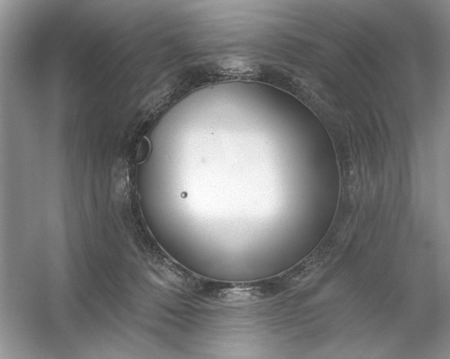 X0000053120320200507251730