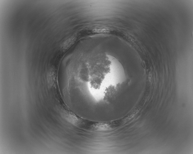 X0000053120322200507251730