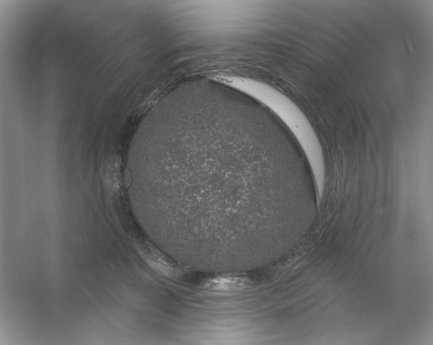 X0000053120323200507251730