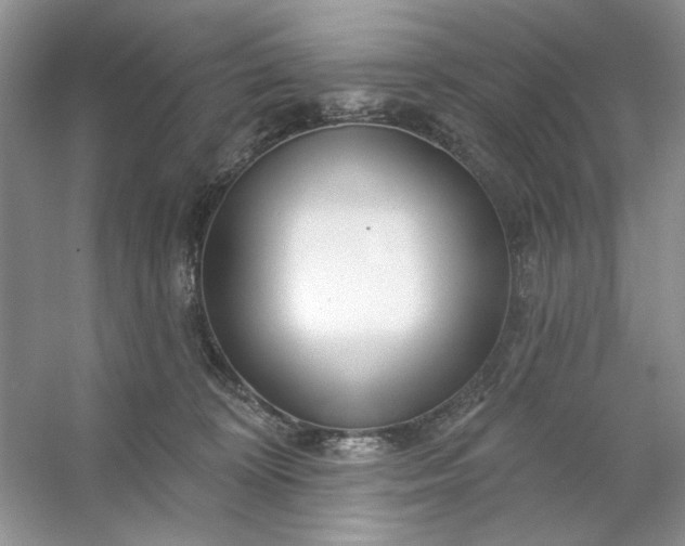 X0000053120324200507251730