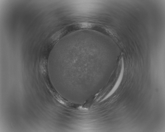 X0000053120325200507251730