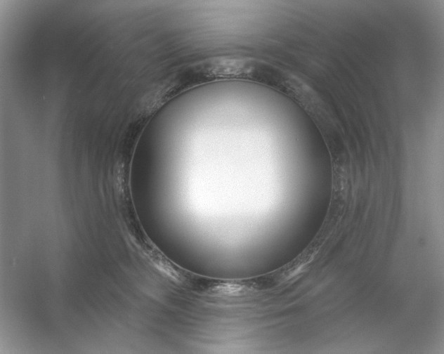 X0000053120326200507251730