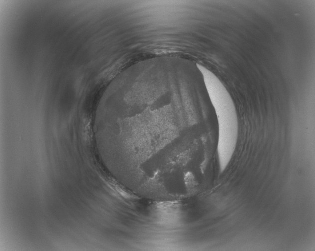 X0000053120327200507251730